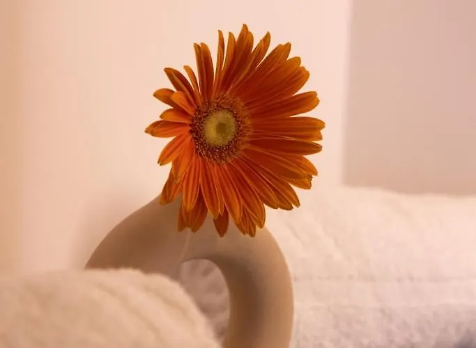 Lieblingsquartier - 10 公寓 *